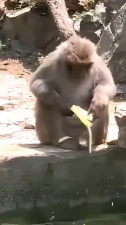 1000065266.mp4