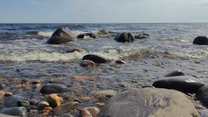 ПРИОЗЕРСК. ВОЛНЫ ЛАДОГИ: