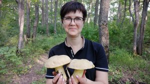 Как грибы нас преследовали или поездка в гости к друзьям