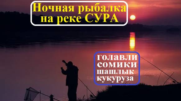 Ночная рыбалка на СУРЕ: голавлики, сомики, шашлык и кукуруза!! Вобщем и юмор и рыба!