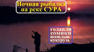 Ночная рыбалка на СУРЕ: голавлики, сомики, шашлык и кукуруза!! Вобщем и юмор и рыба!