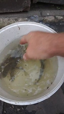 После рыбалки.