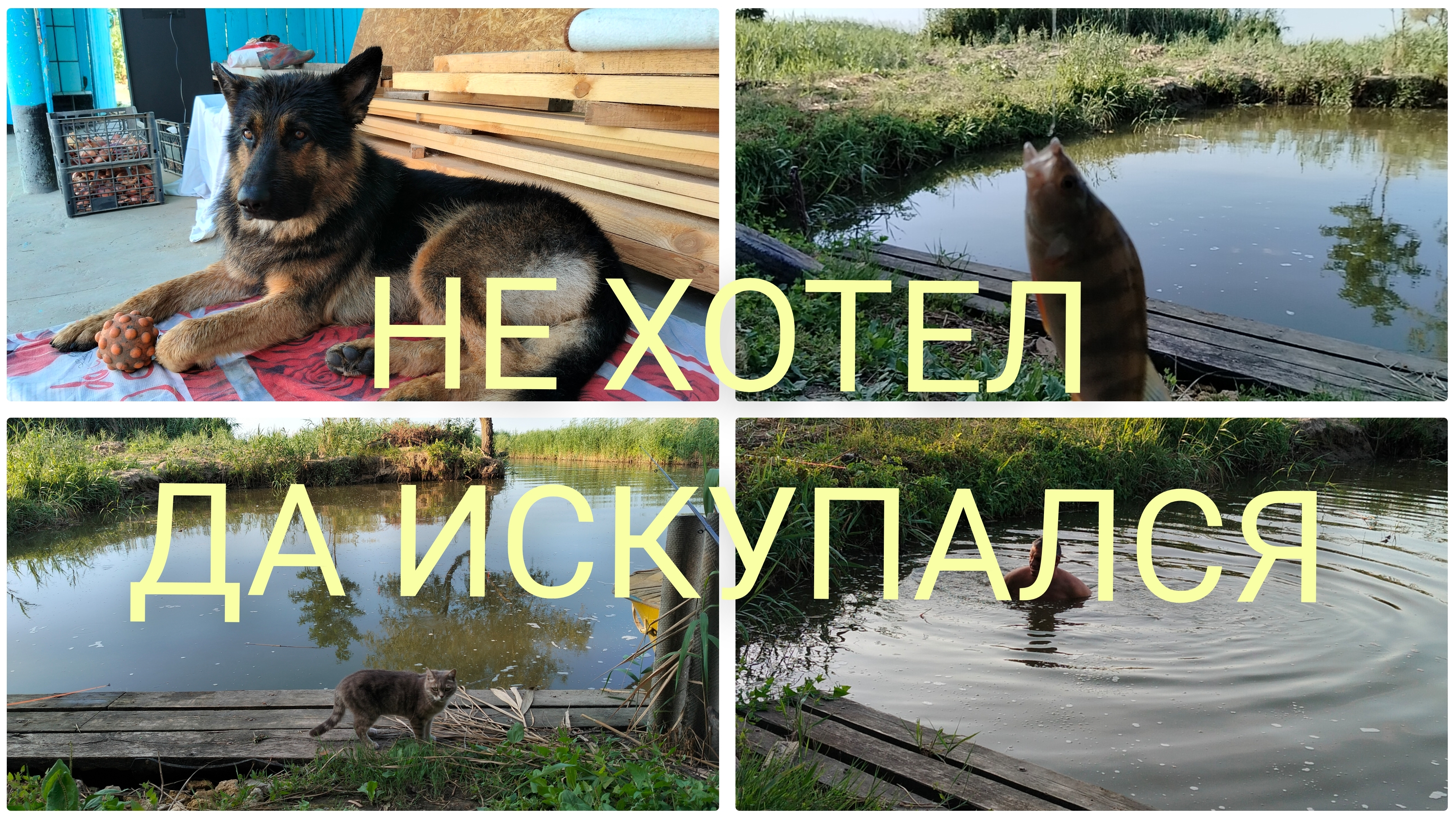 Вести с Кубани.Не хотел да искупался.И пусть весь мир подождёт. смотреть онлайн