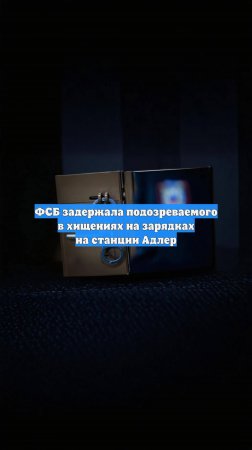 ФСБ задержала подозреваемого в хищениях на зарядках на станции Адлер