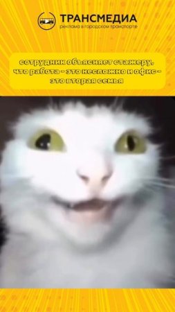 а что говорили вам?