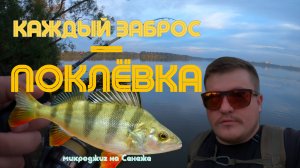 Каждый заброс — поклёвка! Микроджиг на Сенеже