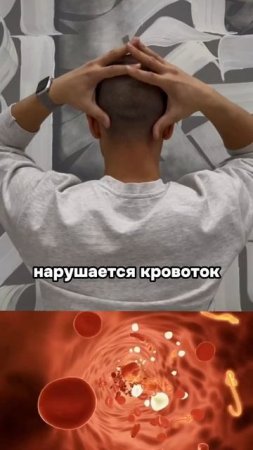 https://t.me/fitstyler_bot?start=vksheya