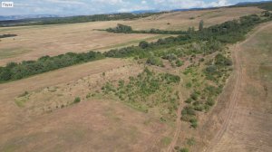 Земельный участок С/Х назначения в Симферопольском районе