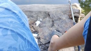 Зачетные караси на затоне. Много поклевок. Рыбалка на поплавок.