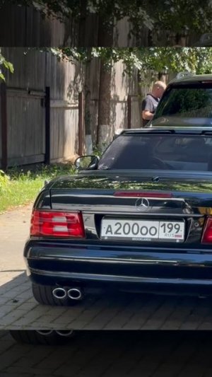 Павел Ворожцов