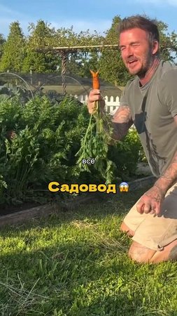Оказывается, Дэвид Бэкхем садовод… И может всё в деревне! #любомило #явдеревневсемогу