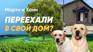 ПРОДАЛИ ДОМ / ПЕРЕЕЗД С СОБАКАМИ ИЗ ВОРОНЕЖА В АНАПУ / МАРТИ СЖЕГ ЛАПЫ / ВЛОГ / УЕХАЛИ НАВСЕГДА?
