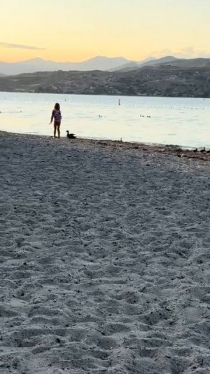 1000150340.mp4