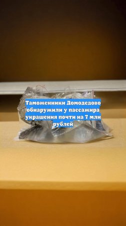 Таможенники Домодедово обнаружили у пассажира украшения почти на 7 млн рублей