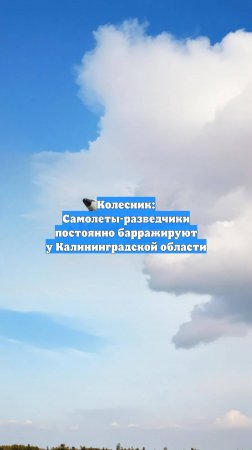 Колесник: Самолеты-разведчики постоянно барражируют у Калининградской области