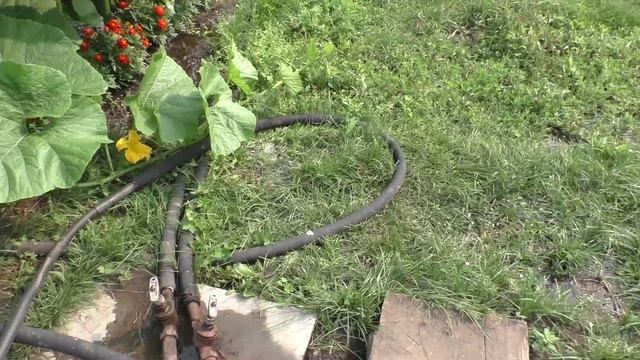 Полив озерной водой моего участка
