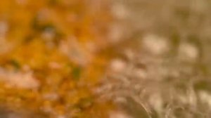 Готовлю Фалафель