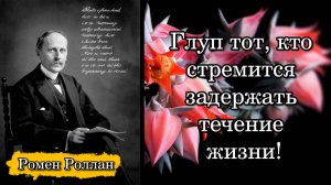 Ромен Роллан. Глуп тот, кто стремится задержать течение жизни!