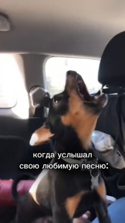 Когда услышал любимую музыку