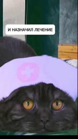 Когда ты заболел