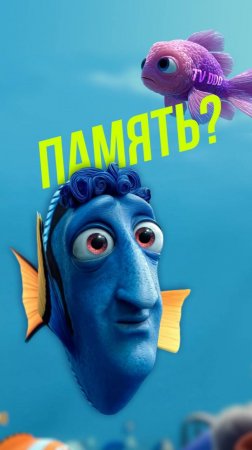 Рыбка Миша  #репортаж #футбол #TVDDD