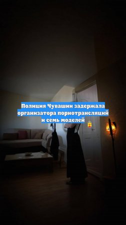Полиция Чувашии задержала организатора порнотрансляций и семь моделей