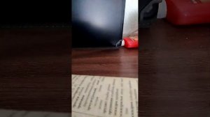 Моя первая трансляция