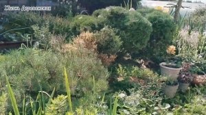 16-07-2025 Продолжение о привыкании нового кота в нашей большой котособакосемье