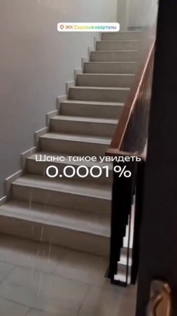 ЭЛИТНОЕ ЖИЛЬЕ - ЭЛИТНЫЙ И ПОТОП (читать описание)