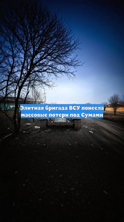 Элитная бригада ВСУ понесла массовые потери под Сумами