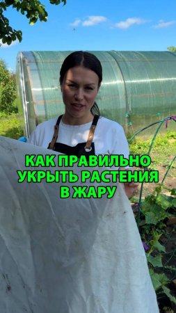 Как правильно укрыть растения в жару в 2025 году