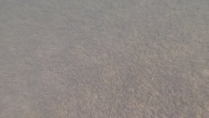 Озеро "Тургояк". Дно около "Серебрянных песков". июль 2025