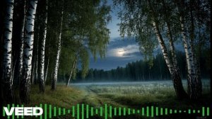 Утро (Вся ночь без сна)