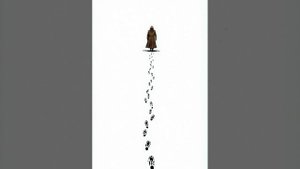 Пространство несуществования