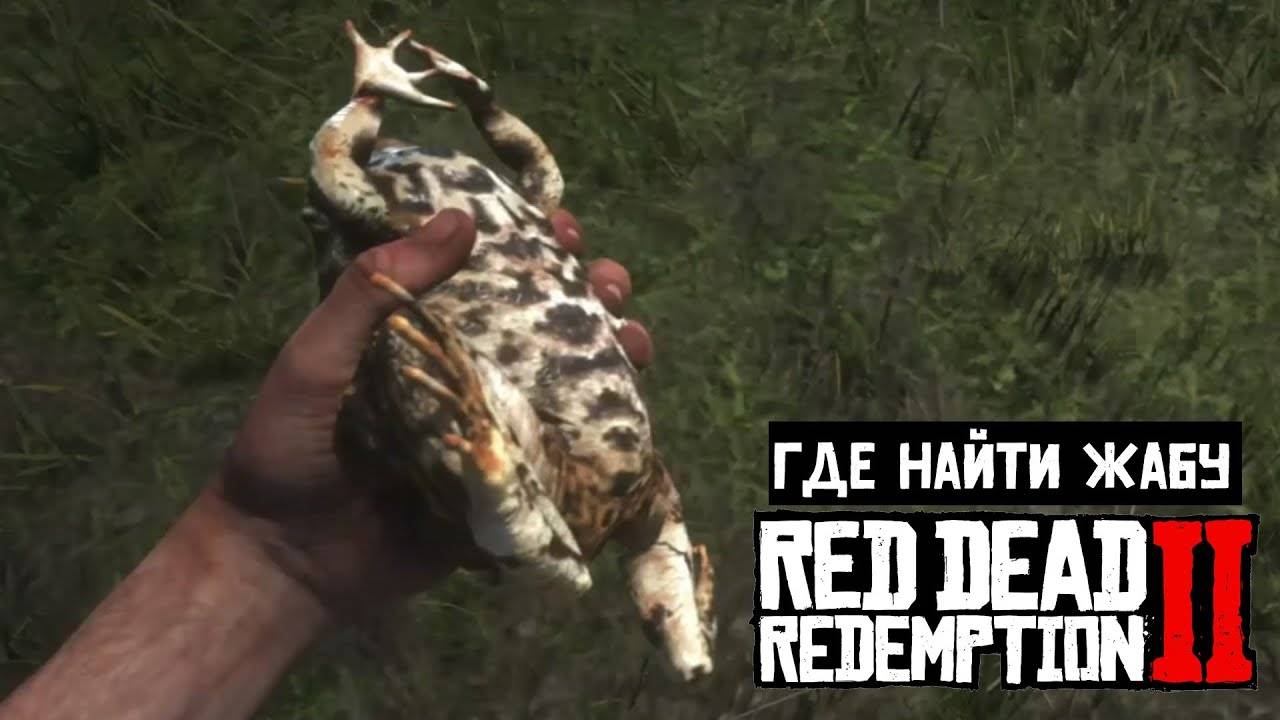 Где найти Жабу в Red Dead Redemption 2 смотреть онлайн
