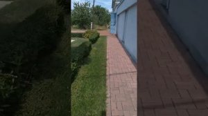 Лиза .Без разрешения не выходит из ха двора