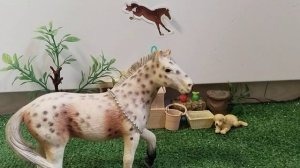 Кто я? Лошади шляйх? Сериал???