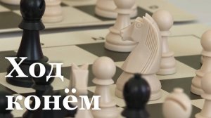 Школьник из Луганска принял участие в международном шахматном турнире