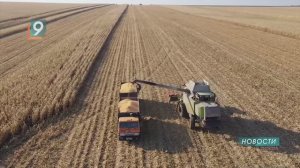 Новости Старого Оскола от 21 июля