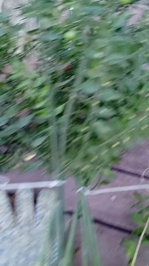 Вяжу метлу для лёгкой уборки!!! Люблю❤😘#Свою#Работу)))