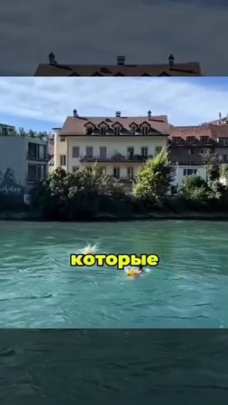 Как в Швеции возвращаются с работы