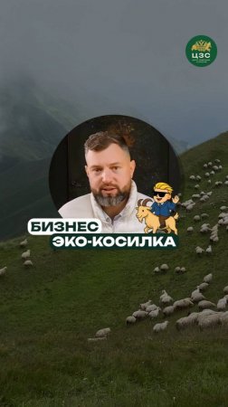 Козы вместо газонокосилки это реально работает!