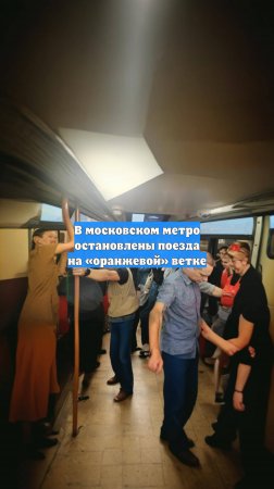 В московском метро остановлены поезда на «оранжевой» ветке