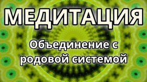 Объединение с родовой системой. Трансформационная Медитация.