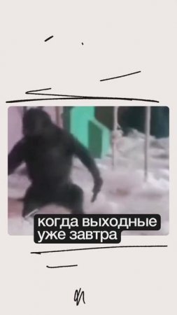 Вы тоже так себя ощущаете перед долгожданными выходными?
