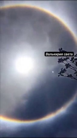 1753077886252.mp4