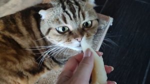 Кто будет дыню? 🍈