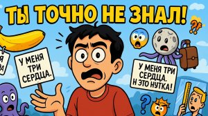Факты,в которые никто не верит — но это правда