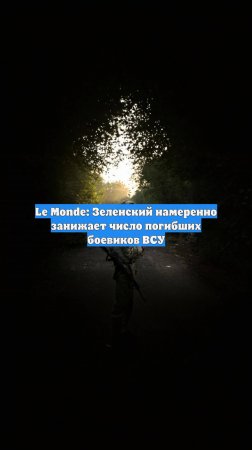 Le Monde: Зеленский намеренно занижает число погибших боевиков ВСУ