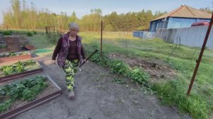 Архив: Плоскорез наше всё! Для чего он мне нужен. Испекла пирог